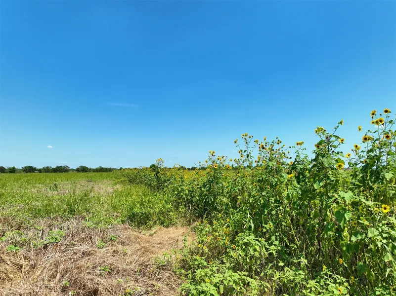 Lot 2 CR 142 RD, Cameron, TX 76520