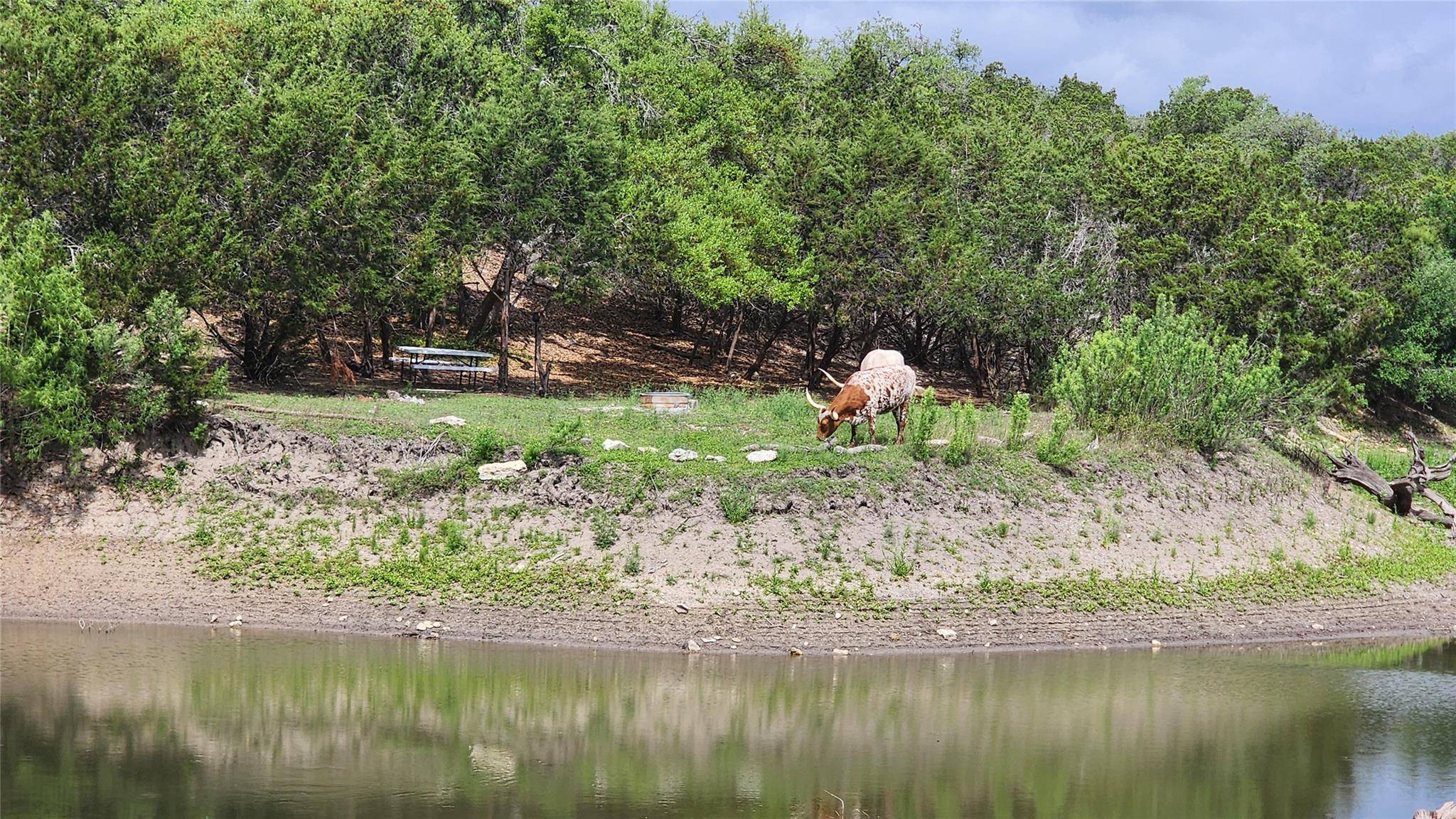 110 Longhorn LN, Dripping Springs, TX 78620