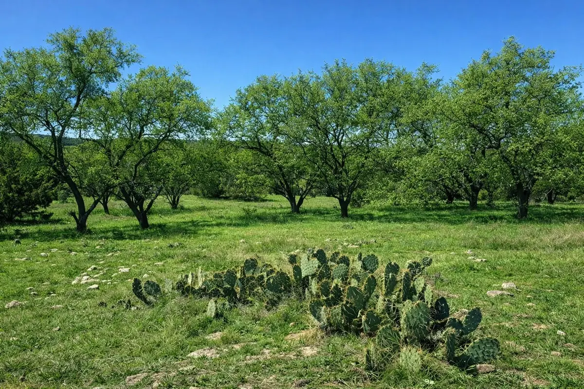 TBD View CIR, Lampasas, TX 76550
