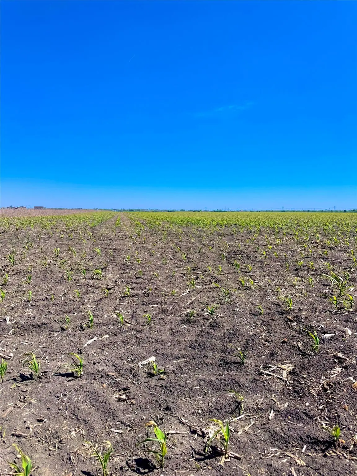 TBD Tract 4 Lund Carlson RD, Coupland, TX 78615