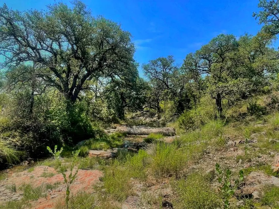 Lot 8 Legacy Ridge, Burnet, TX 78611
