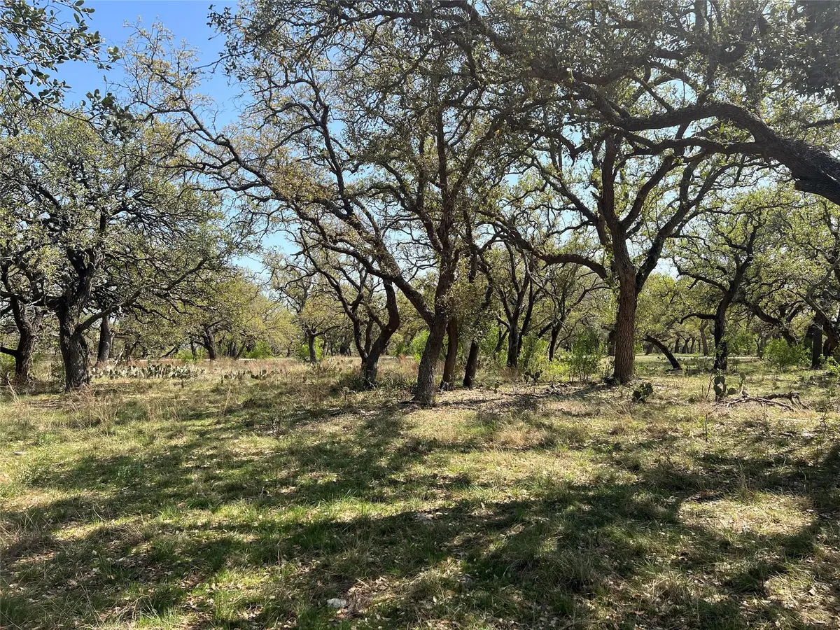 Lot 43 Waterbuck WAY, Lampasas, TX 76550