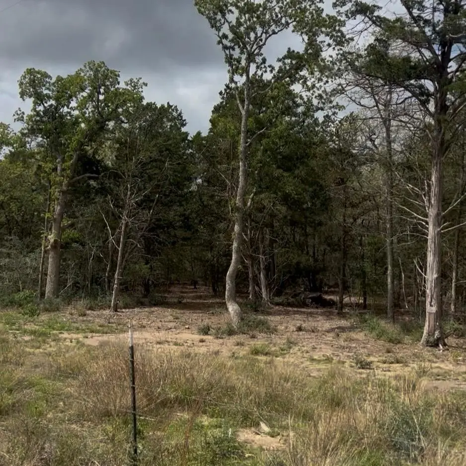 Lot 15 Antioch RD, Paige, TX 78659