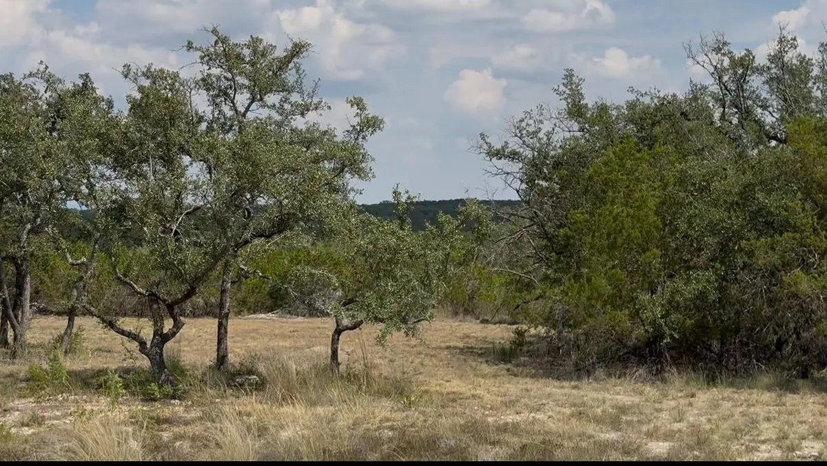 Lot 36 - 6.65 Acres - Round Mountain Reserve DR, Round Mountain, TX 78663