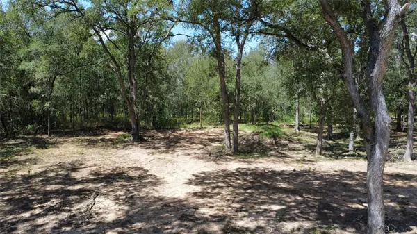 959 Carter RD, Dale, TX 78616