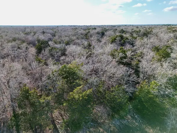 Lot 3 South Old Potato RD, Paige, TX 78659