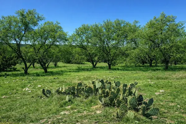 TBD View CIR, Lampasas, TX 76550