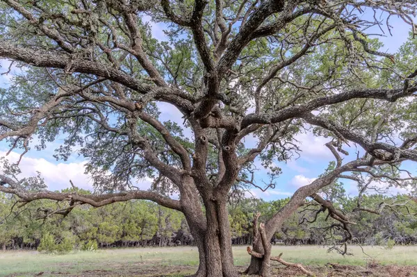 Lot 3 Bluestem LN, Lampasas, TX 76550
