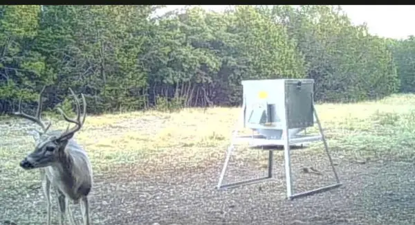 1580 County Road 2113 RD, Lometa, TX 76853