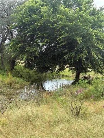 TBD County Road 200, Burnet, TX 78611