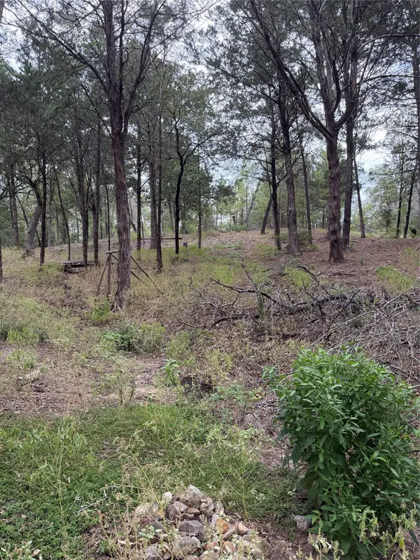 Lot 289 Aka CT, Bastrop, TX 78602