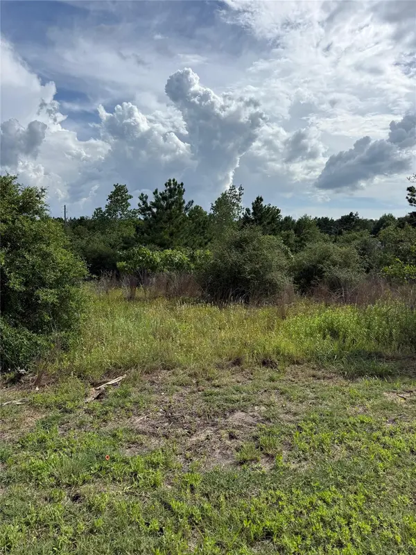 Lots 89-90 Pintail LN, Bastrop, TX 78602