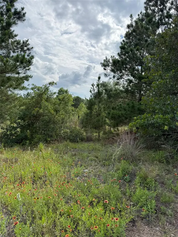Lots 89-90 Pintail LN, Bastrop, TX 78602