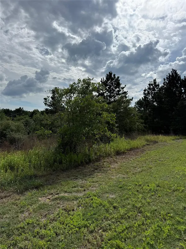 Lots 89-90 Pintail LN, Bastrop, TX 78602