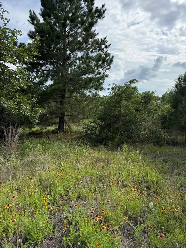 Lots 89-90 Pintail LN, Bastrop, TX 78602