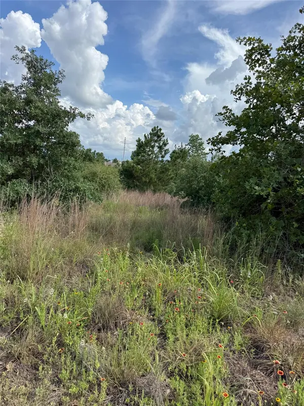 Lots 89-90 Pintail LN, Bastrop, TX 78602