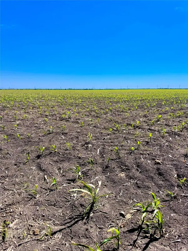 TBD Tract 4 Lund Carlson RD, Coupland, TX 78615