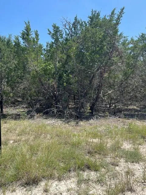 TBD CR 2644, Lometa, TX 76853