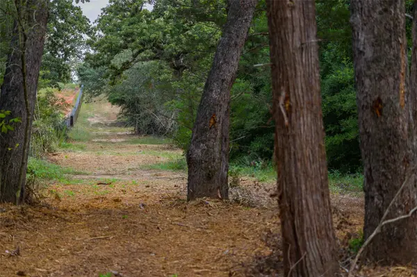 TBD Stiewert Lane, Paige, TX 78659