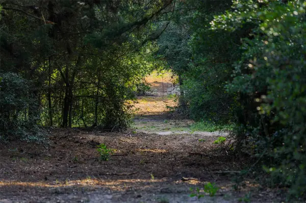 TBD Stiewert Lane, Paige, TX 78659