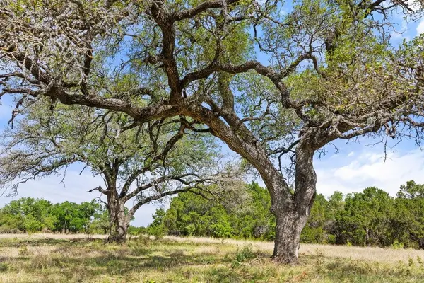 4772-11 County Road 340, Burnet, TX 78611