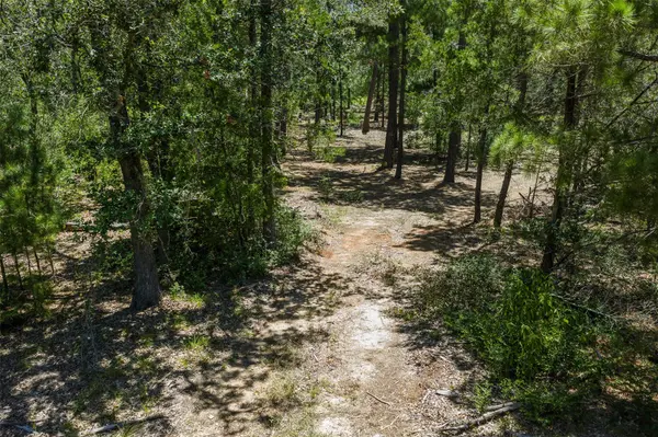 492 S Old Potato RD, Paige, TX 78659