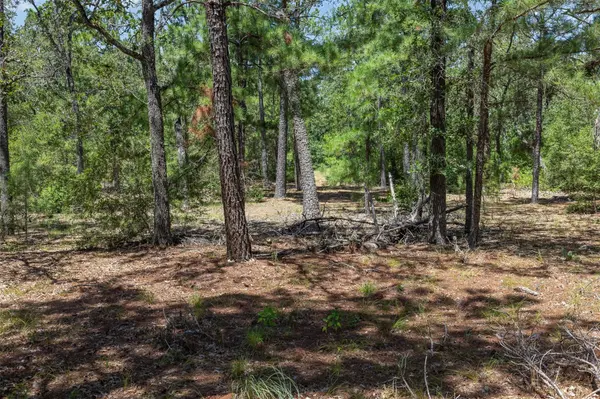 492 S Old Potato RD, Paige, TX 78659