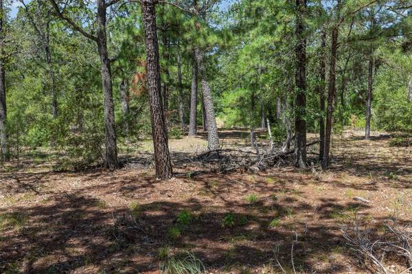 492 S Old Potato RD, Paige, TX 78659