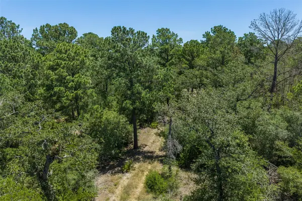 492 S Old Potato RD, Paige, TX 78659