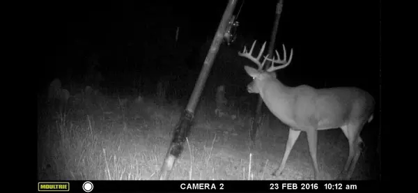 000 Private Road 3150, Brackettville, TX 78832