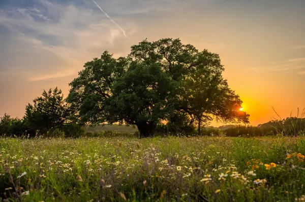2170 County Road 228, Hico, TX 76457