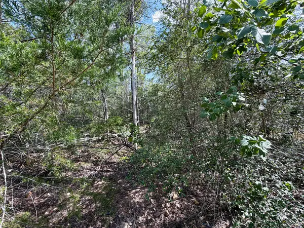 103 Nuupia CT, Bastrop, TX 78602