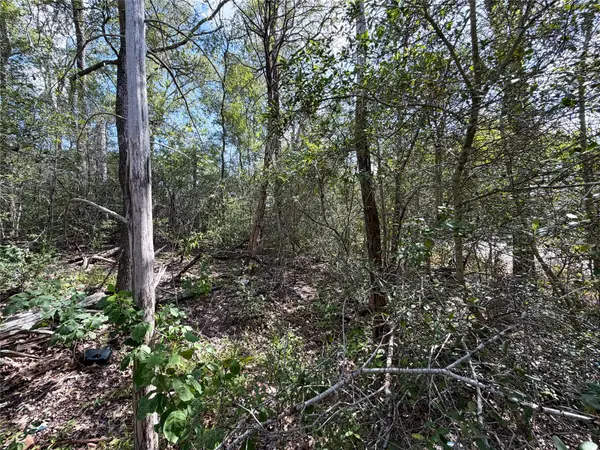 103 Nuupia CT, Bastrop, TX 78602