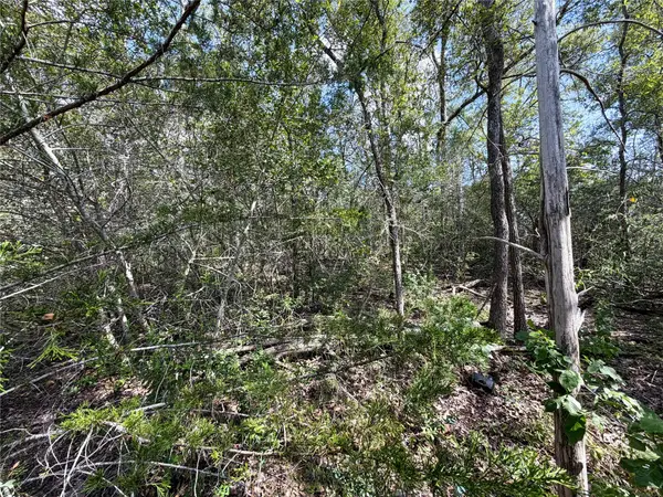 103 Nuupia CT, Bastrop, TX 78602