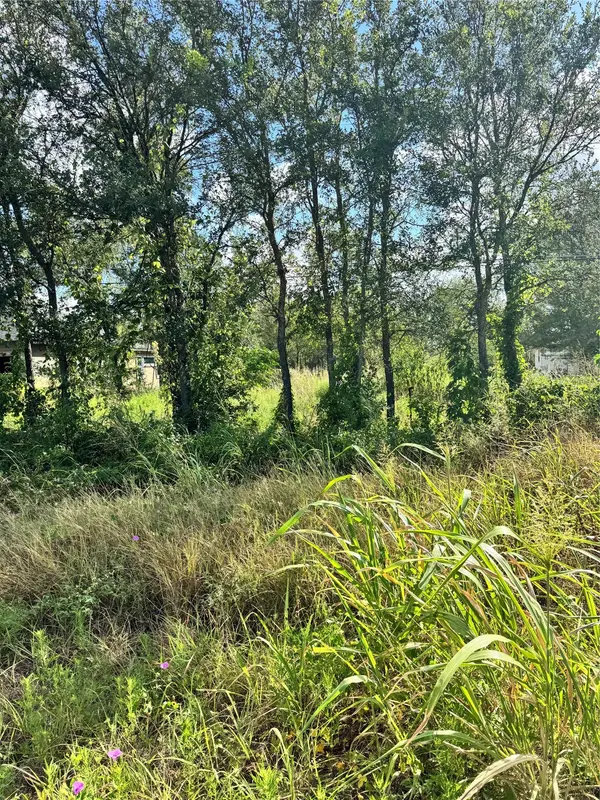 Tbd Union Chapel Rd, Cedar Creek, TX 78612