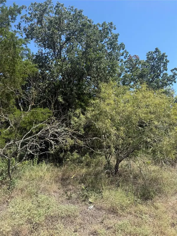 TBD Blanket Flower  Lot 17 DR, Bastrop, TX 78602