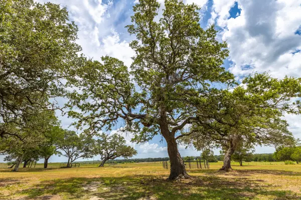 2160 (Tract #5) Baca LOOP, Flatonia, TX 78941