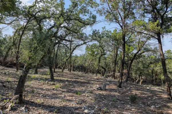 Tract 4 Mount Olive School RD, Wimberley, TX 78676