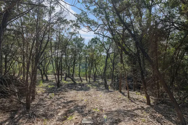 Tract 4 Mount Olive School RD, Wimberley, TX 78676