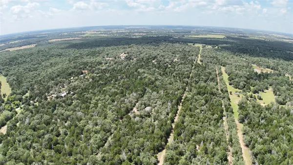 TBD Lot 15 Pecan ST, Paige, TX 78659