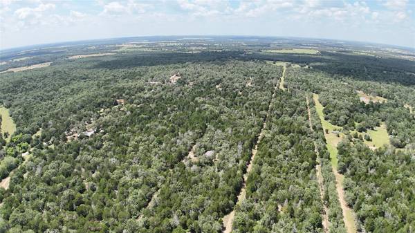 TBD Lot 15 Pecan ST, Paige, TX 78659