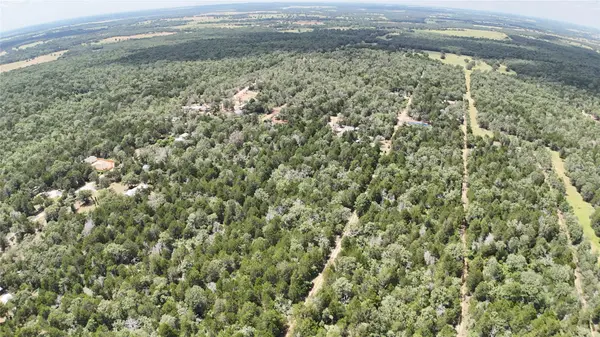 TBD Lot 15 Pecan ST, Paige, TX 78659