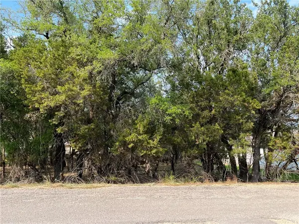 21212 Santa Rosa Ave, Lago Vista, TX 78645