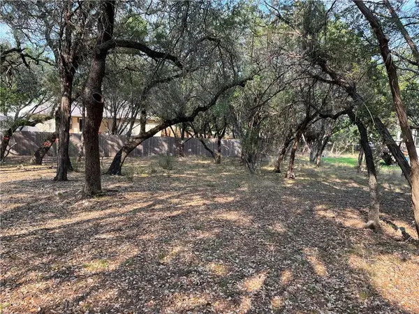 21212 Santa Rosa Ave, Lago Vista, TX 78645