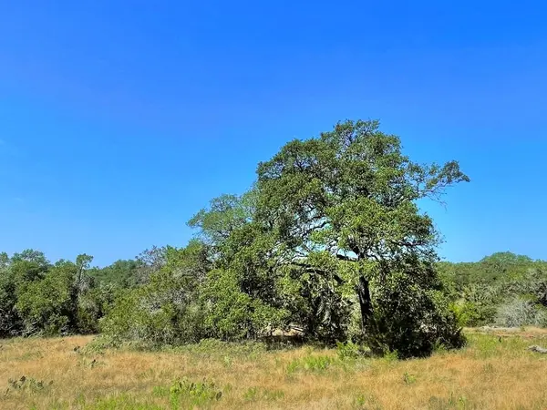 Lot 8 Legacy Ridge, Burnet, TX 78611