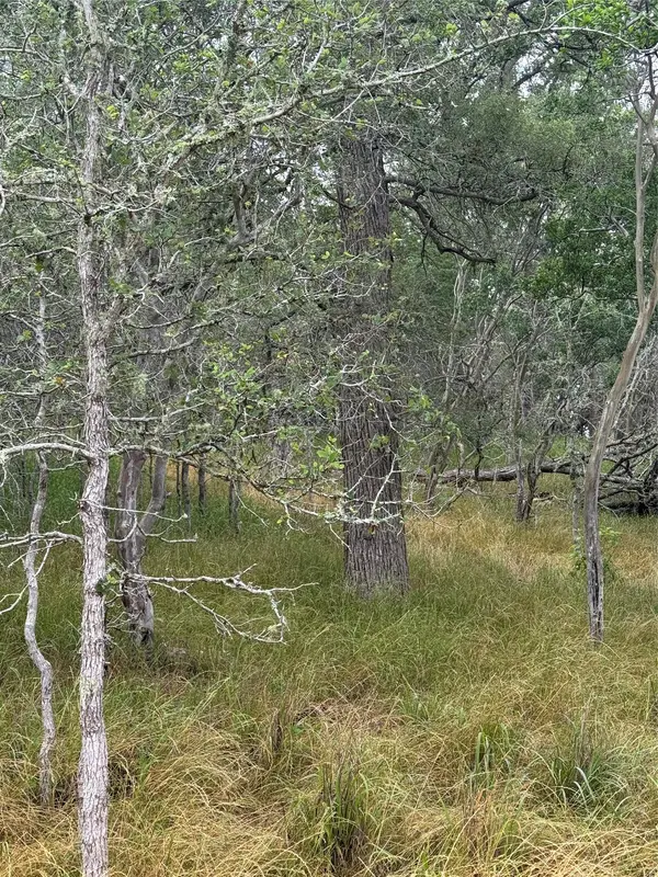 107 and 109 Hauula CT, Bastrop, TX 78602