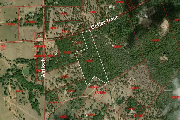TBD Gotier Trace RD, Paige, TX 78659