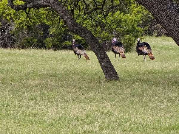 736 CR 206, Lampasas, TX 76550