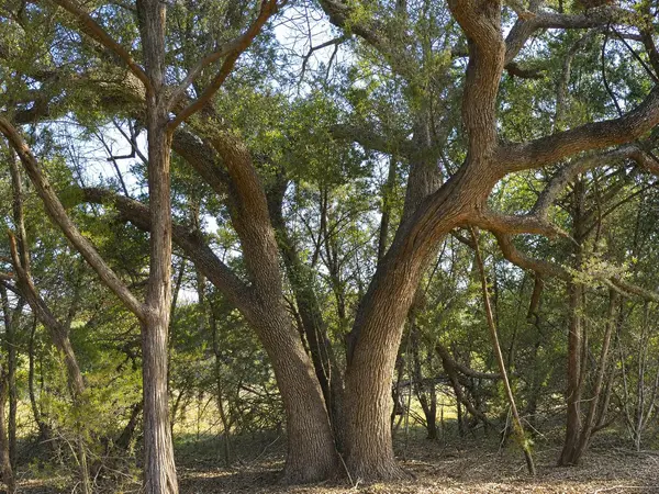 736 CR 206, Lampasas, TX 76550