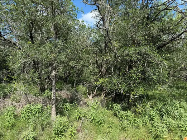 236 Mokulua LN, Bastrop, TX 78602